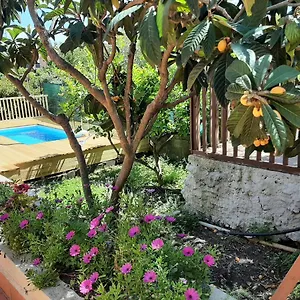 carrubo-giardino-in-citta.catania-hotels.net/